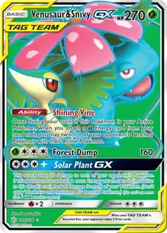 Full Art Venusaur & Snivy GX 210