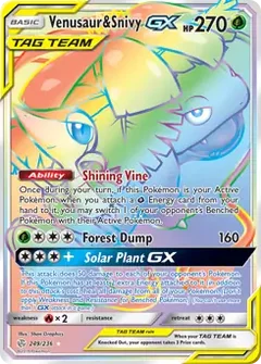 Venusaur & Snivy GX Secret 249