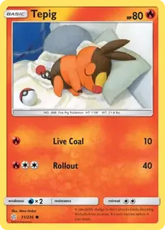 Tepig 31