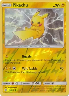 Pikachu Reverse Holo 66