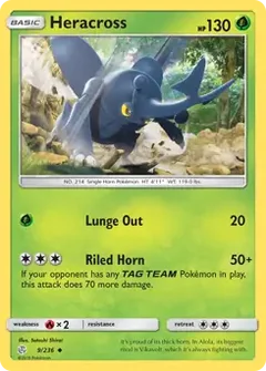 Heracross 9