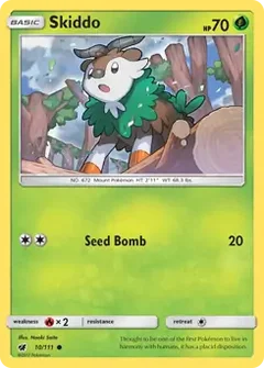 Skiddo 10