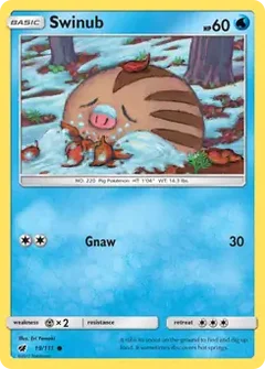Swinub 19
