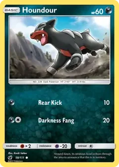 Houndour 58