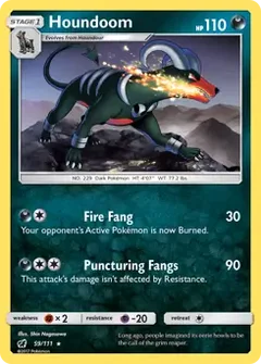 Houndoom 59
