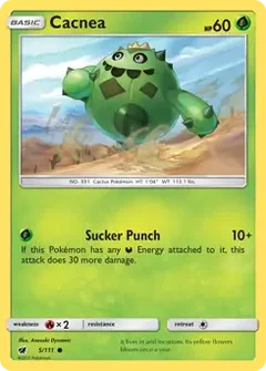 Cacnea 5