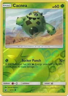 Cacnea Reverse Holo 5
