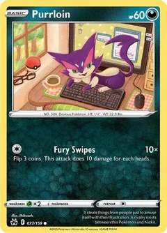 Purrloin 077