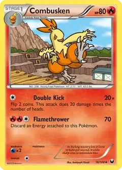 Combusken 16