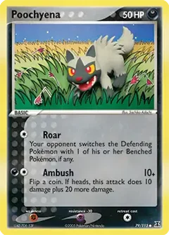Poochyena 79