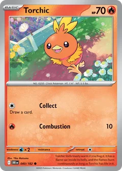 Torchic 040