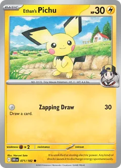 Ethan's Pichu 071