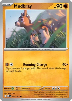 Mudbray 107