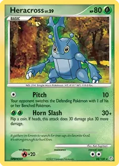 Heracross 28