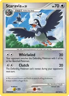 Staravia 64