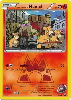 Numel 1