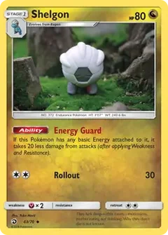 Shelgon 43
