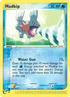 Mudkip 65