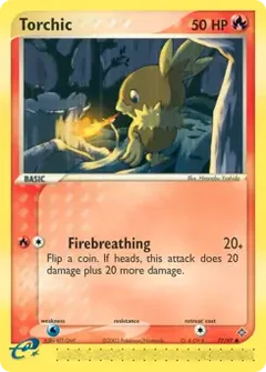 Torchic 77