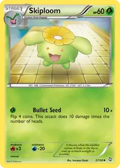 Skiploom 2
