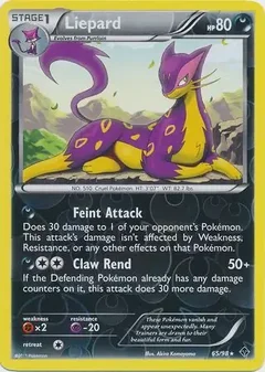 Liepard Reverse Holo 65