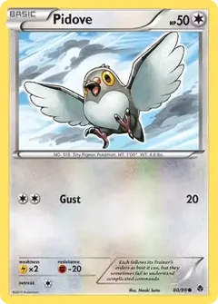 Pidove 80