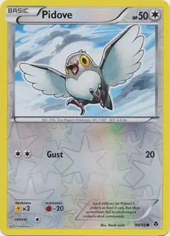 Pidove Reverse Holo 80