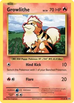 Growlithe 17