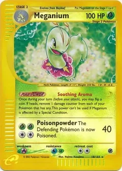 Meganium Reverse Holo 18