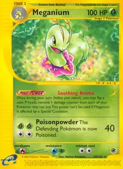 Meganium 54