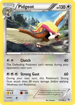 Pidgeot 77