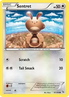 Sentret 81