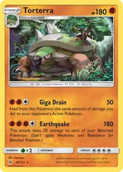Torterra 58