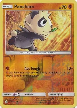 Pancham Reverse Holo