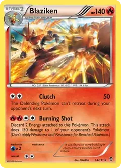 Blaziken Holo 14