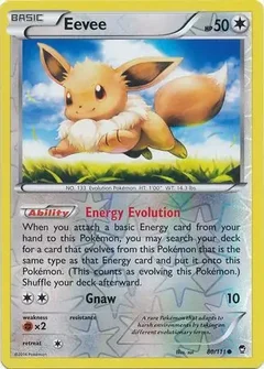Eevee Reverse Holo 80