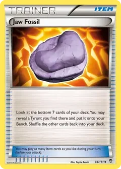 Jaw Fossil 94