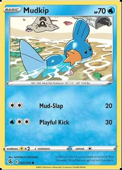 Mudkip 062