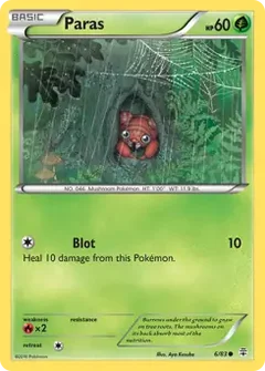 Paras 6
