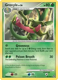 Grovyle 40