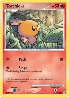 Torchic 89
