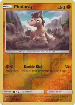 Mudbray Reverse Holo 75