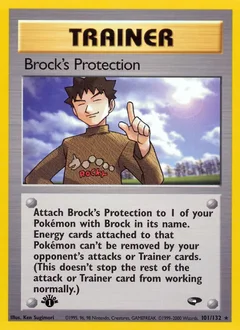 Brock's Protection 101
