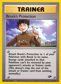 Brock's Protection 101