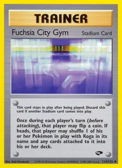 Fuchsia City Gym 114