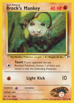 Brock's Mankey 67