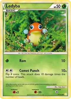 Ledyba 71