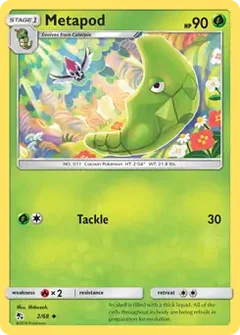 Metapod 2
