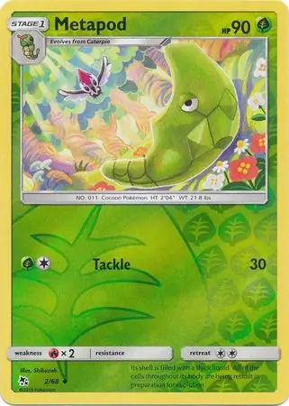 Metapod Reverse Holo