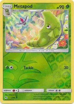Metapod Reverse Holo 2
